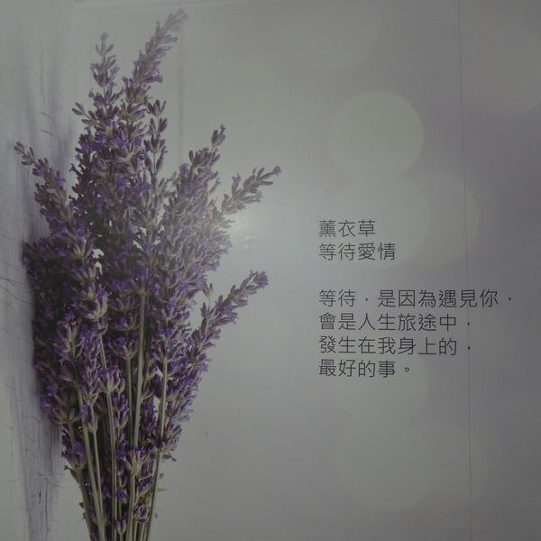 P1090146.JPG