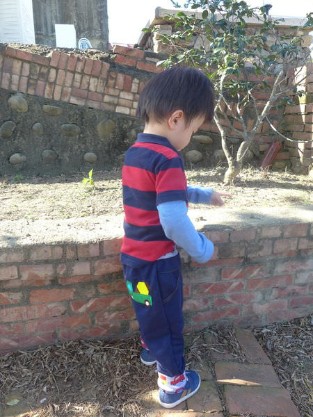 P1080501.JPG