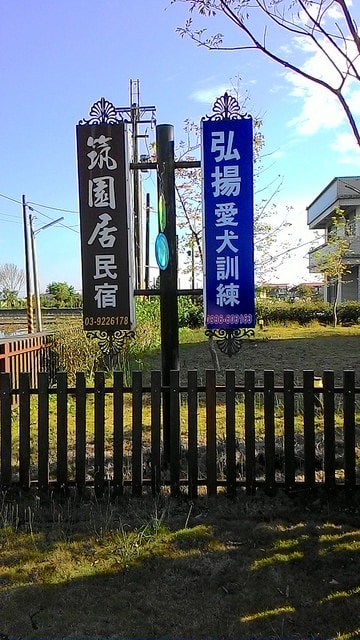 P_20161113_082823.jpg