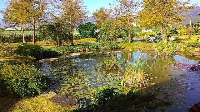 P_20161113_082500.jpg