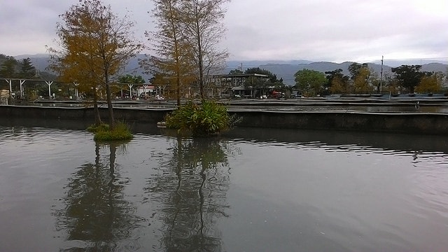 P_20161112_162837.jpg