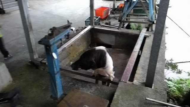 P_20161112_163846.jpg