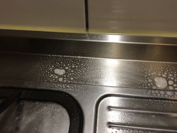 _S__5283980.jpg