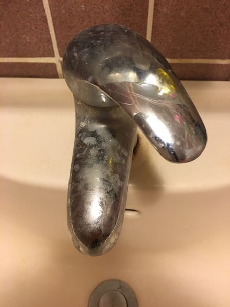 S__5283960.jpg