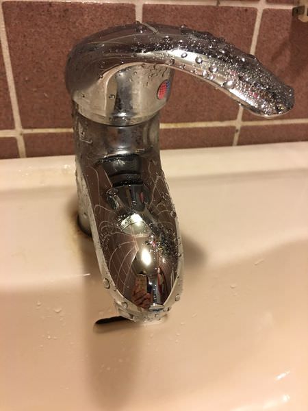 S__5283975.jpg