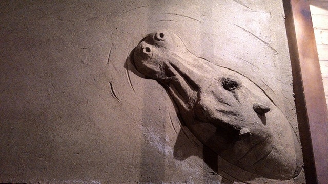 P_20160213_105514_BF.jpg