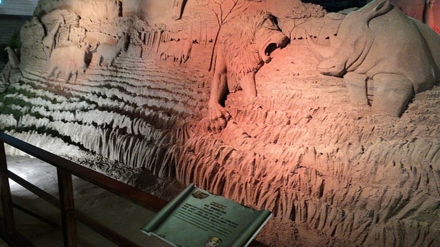 P_20160213_105529_BF.jpg