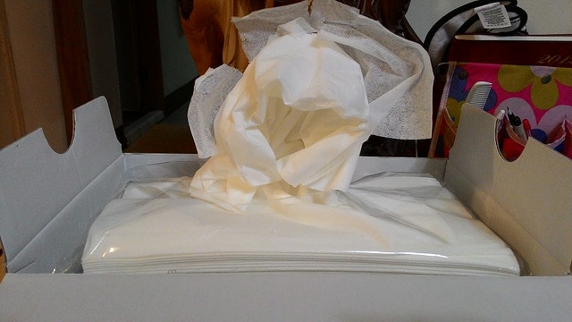 P_20151030_221202.jpg