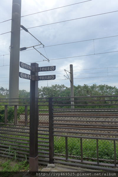 P1060935.JPG