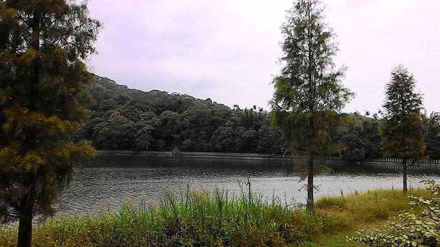 P_20150703_141615.jpg