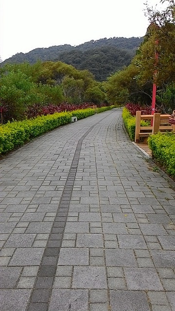 P_20150703_142632.jpg