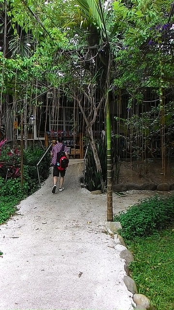 P_20150703_143716.jpg