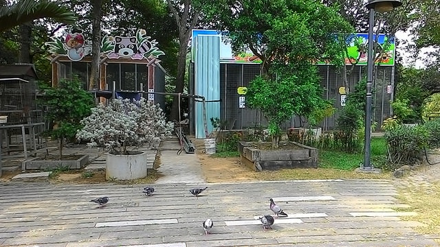 P_20150703_152850.jpg