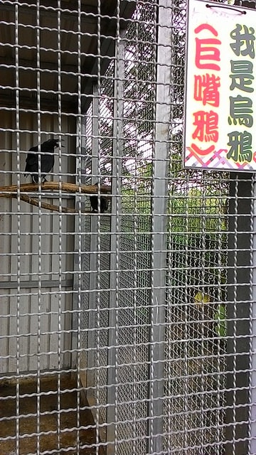 P_20150703_163144.jpg