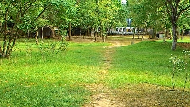 P_20150703_153311.jpg