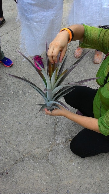 P_20150617_110726.jpg