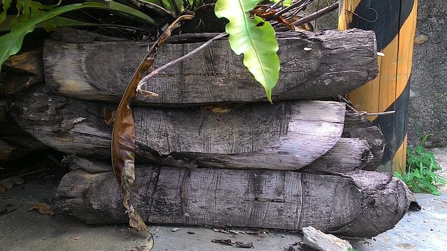 P_20150616_152905.jpg