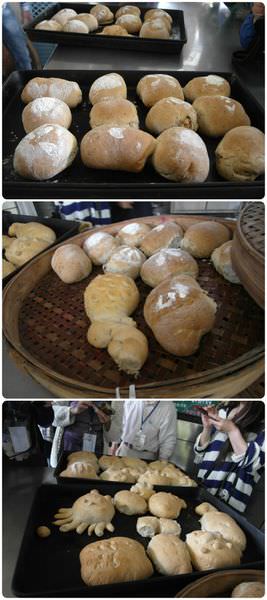 FotorCreated8.jpg