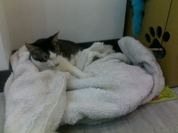 201502042424.jpg 201502042424.jpg