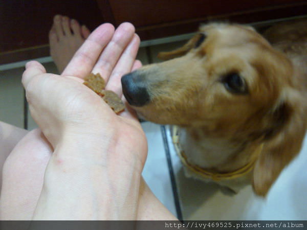 201405166290.jpg