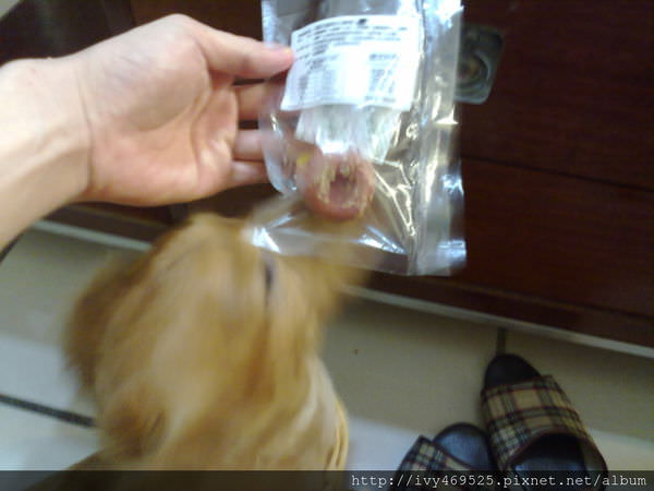 201405176291.jpg