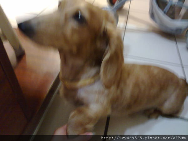 201405176293.jpg