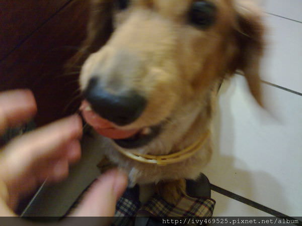201405176294.jpg