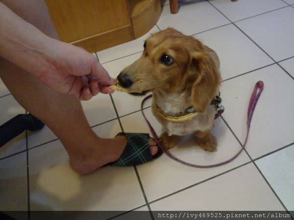 201405186298.jpg