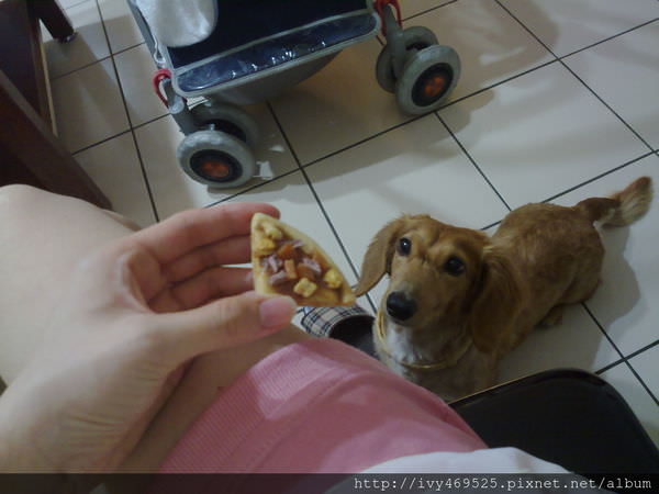 201405246330.jpg