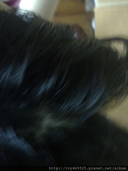 201405116271.jpg