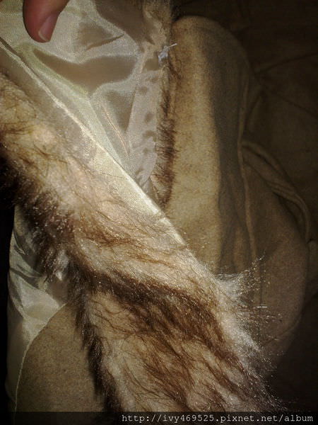 201310255662.jpg