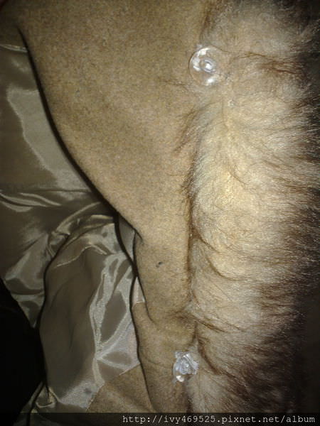 201310255661.jpg