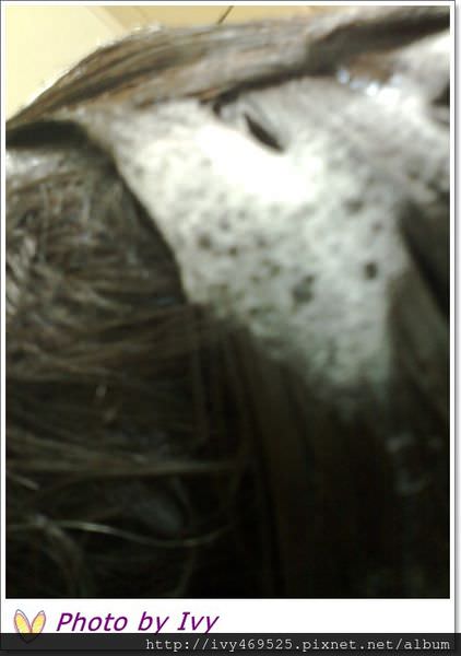 201307155203.jpg