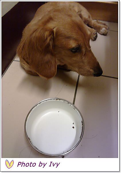 201306165139