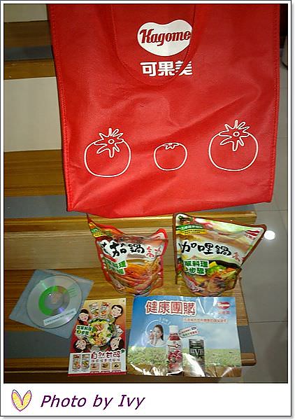 201306025056