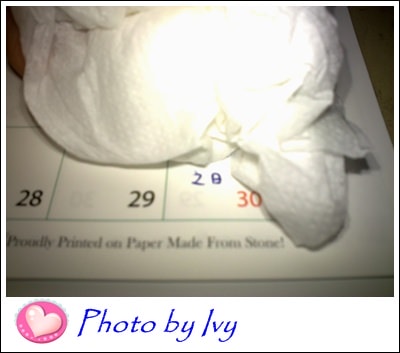 201303174558