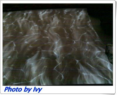 20110703533.jpg