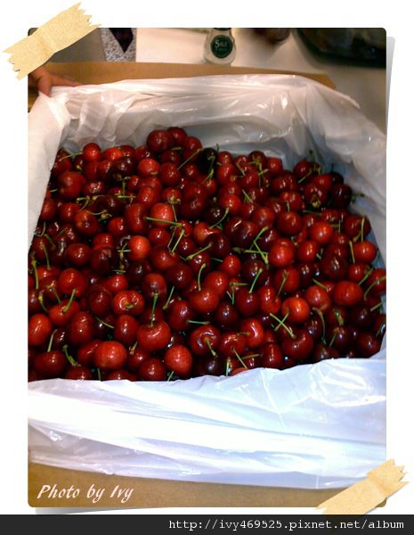 20110515358.jpg