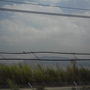 FILE0044.JPG
