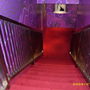 DSCI0093.JPG
