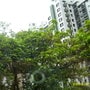 DSCI0076.JPG