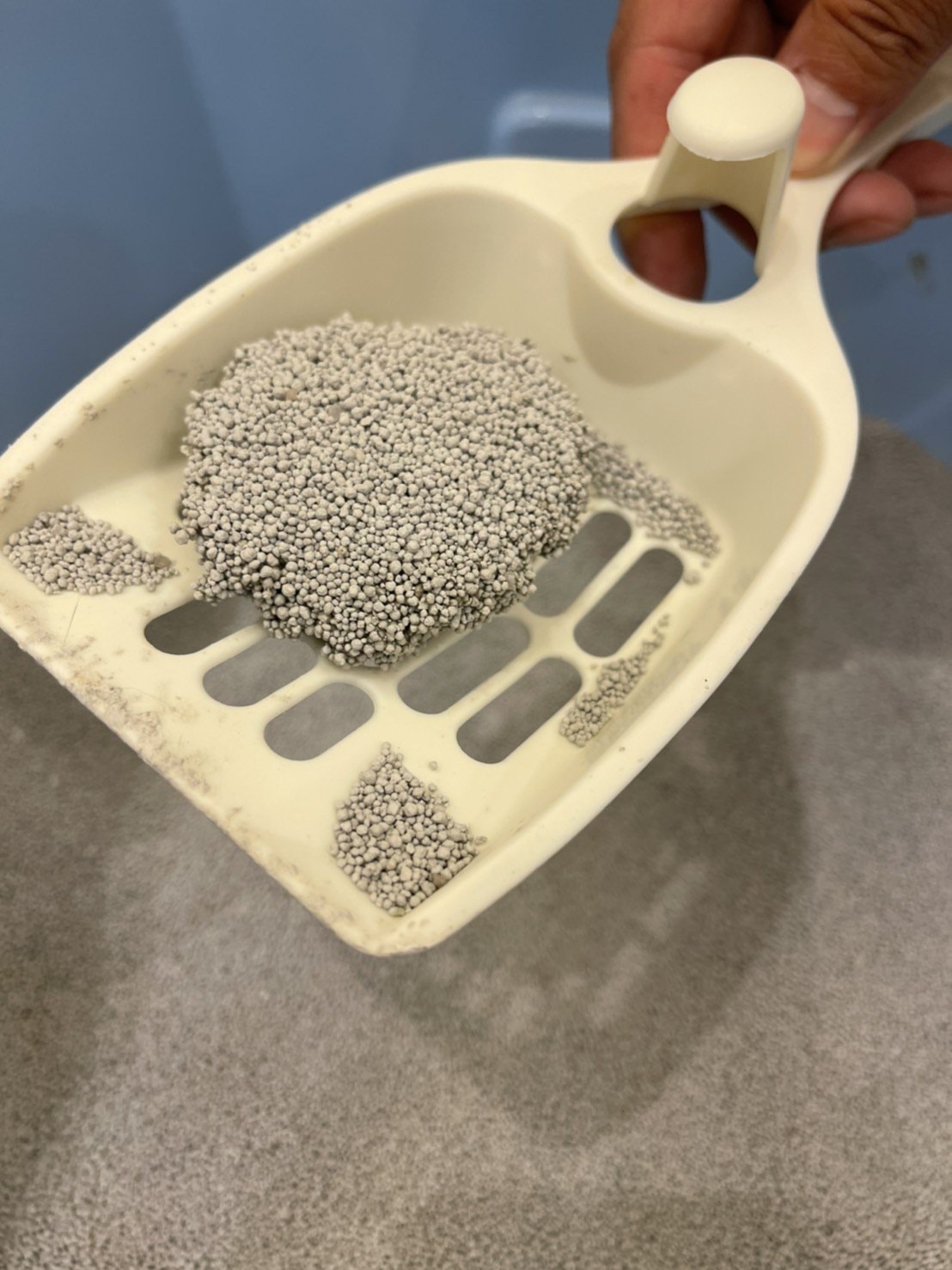 除臭貓砂開箱/貓礦砂評價/台灣礦砂品牌【早安貓砂】嚴選無塵貓礦砂-球型砂 - 第13張圖