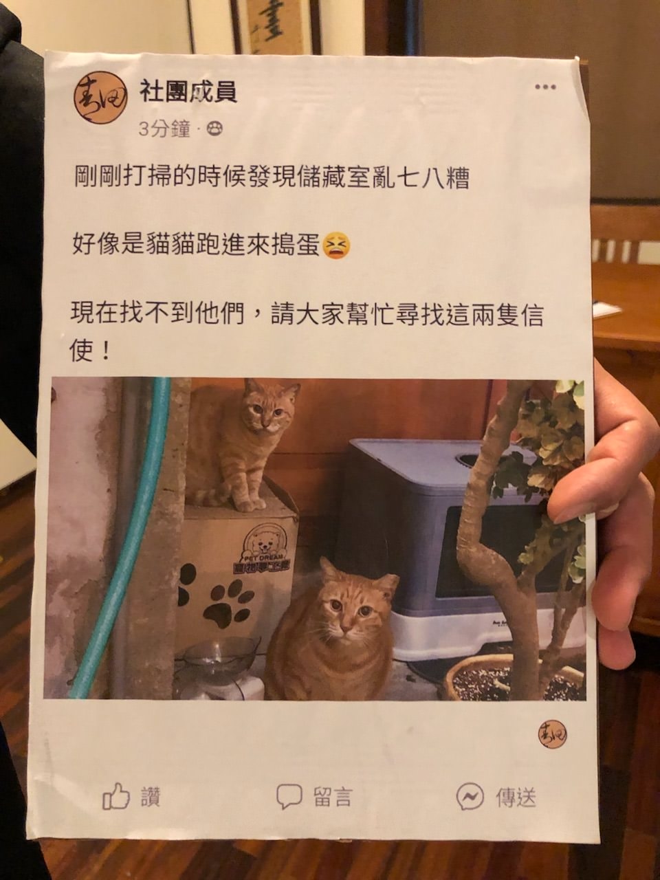 青田書院/于右任紀念館/大安區複合式咖啡廳空間/室內解謎/下午茶套餐/大安區近溫州街口公車站/青田街複合展覽空間/日式建築 - 第40張圖